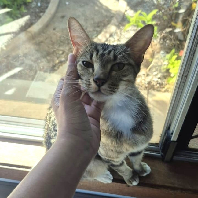 Photo of Sally