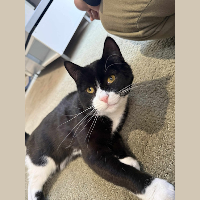 Photo of Pishi & Maloos