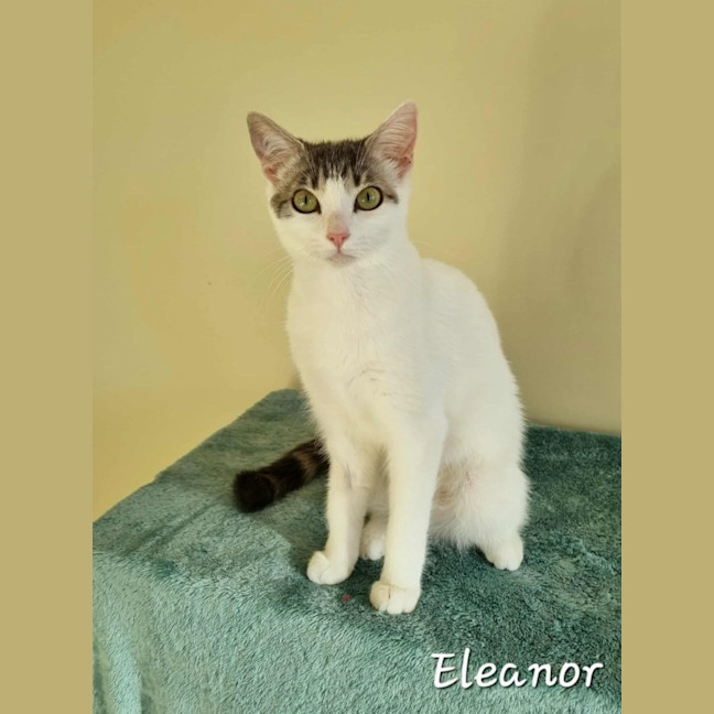 Photo of Eleanor
