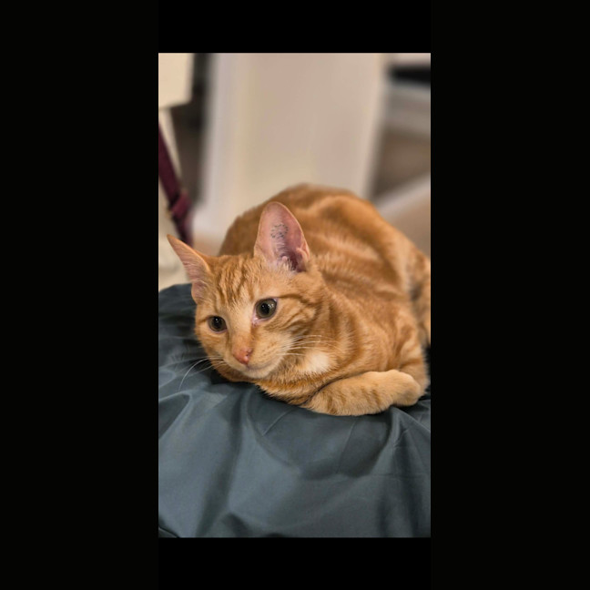 Photo of Umi