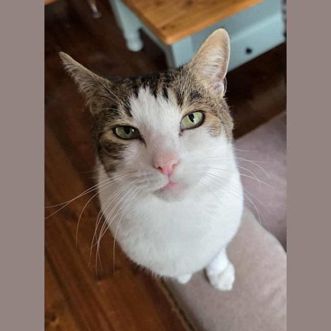 Photo of Jimmy! ❤️ 