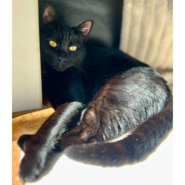 Photo of 12644   Arabella