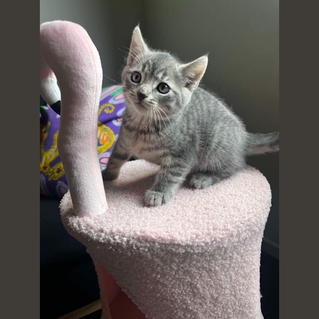 Photo of Spyro & Smokey