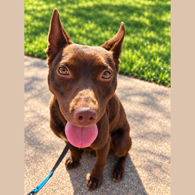 Photo of Daisy