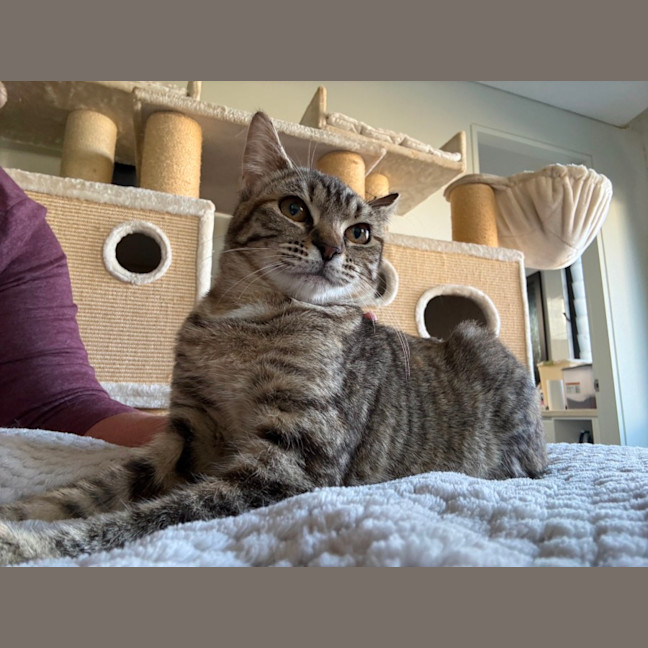 Photo of Sweetie