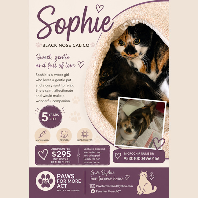 Photo of Sophie