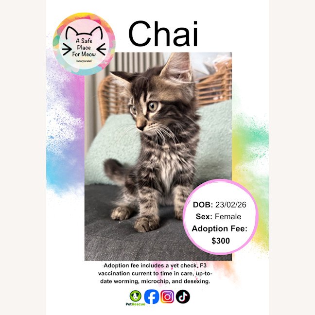 Photo of Chai