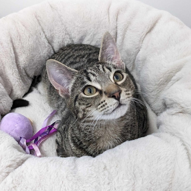 Photo of Lyle   Located In Preston 