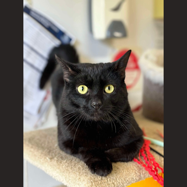 Photo of 🎐 Leroy 5499 🎐