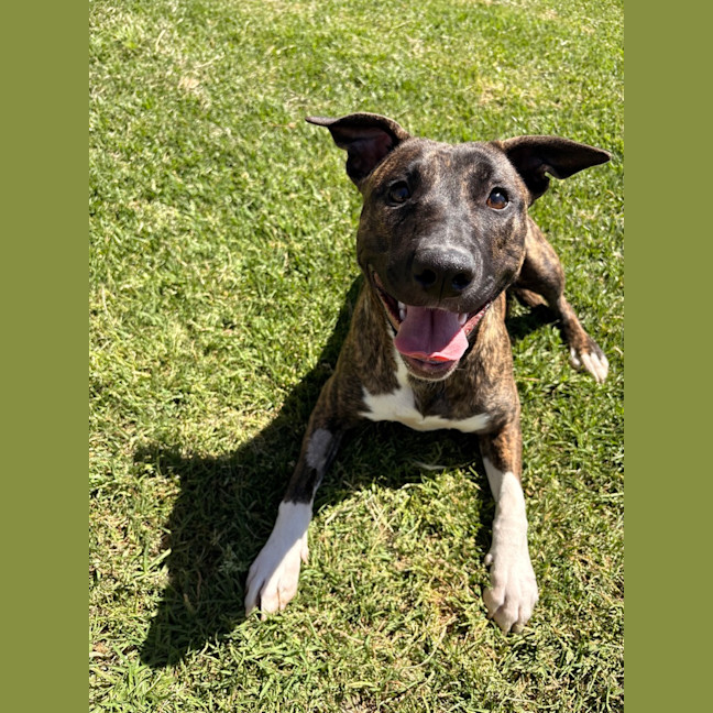 Photo of Lila 
