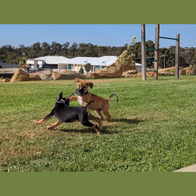 Photo of Dracule Mihawk