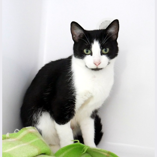 Photo of Moomoo Sta014845