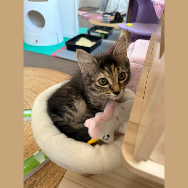 Photo of Francesca Moo