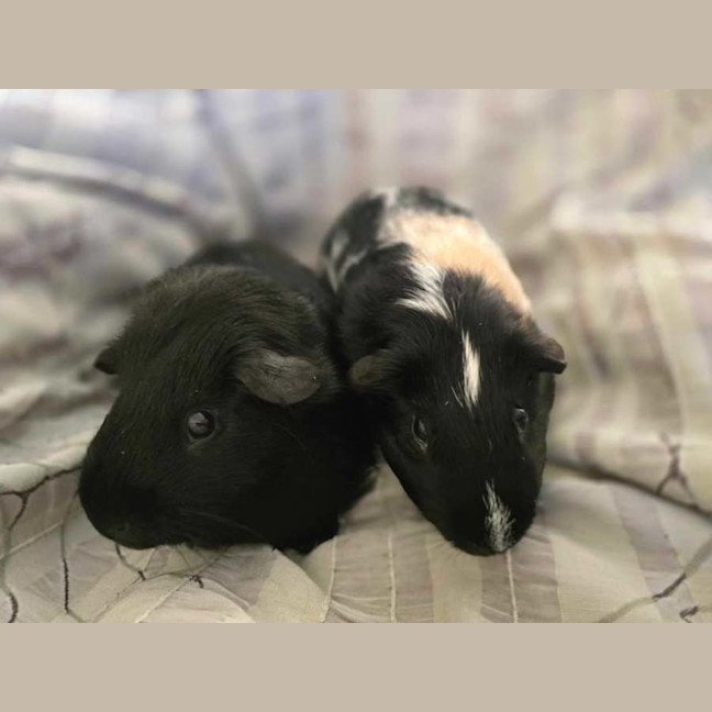 Photo of Marco & Polo