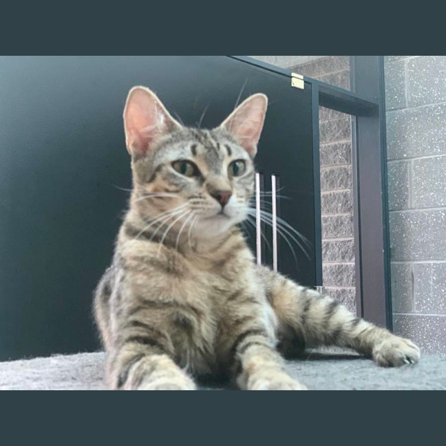 Photo of Ellie (Eleanor)