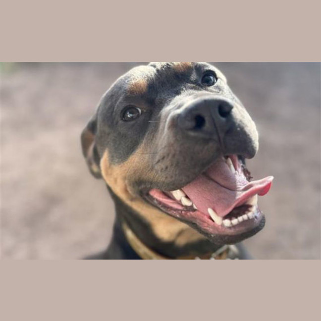 Photo of Colby
