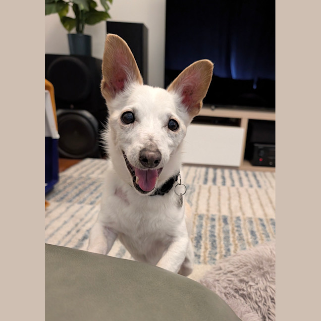 Photo of Max
