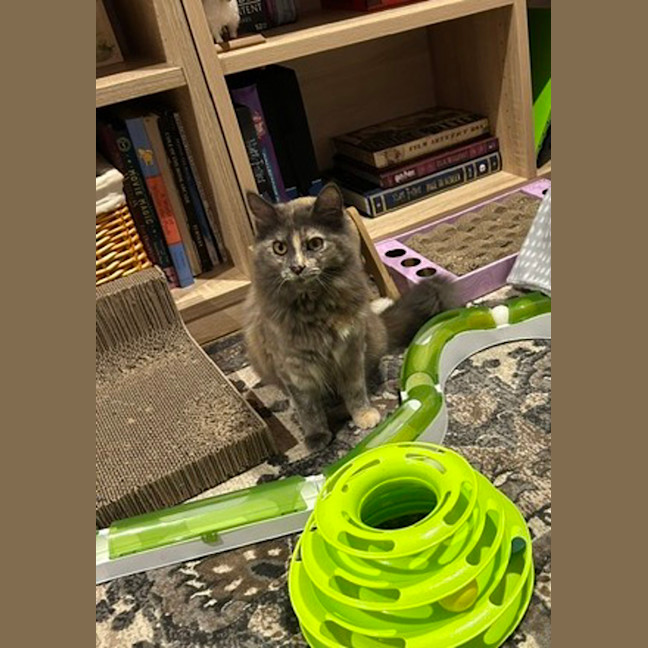 Photo of Riley