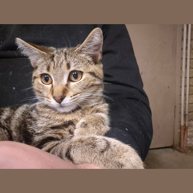 Photo of Autumn   Located In Templestowe