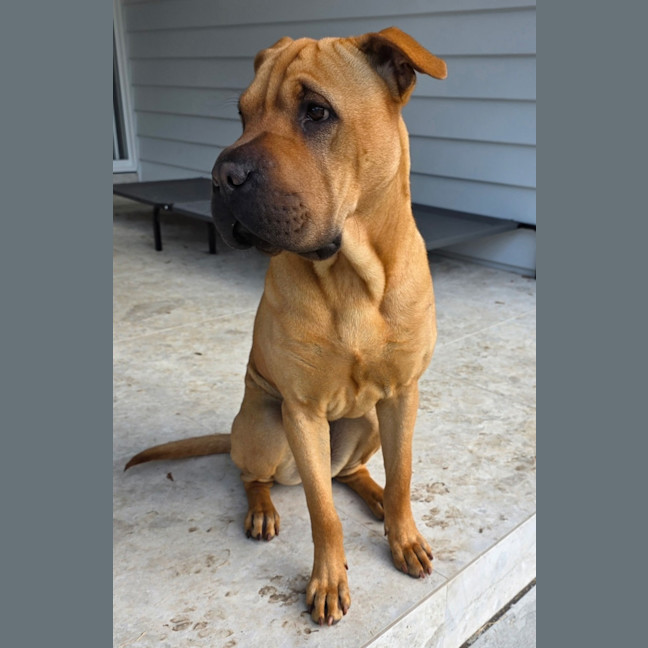 Photo of Wilma