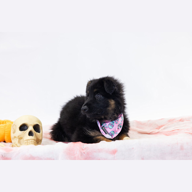 Photo of Saweetie