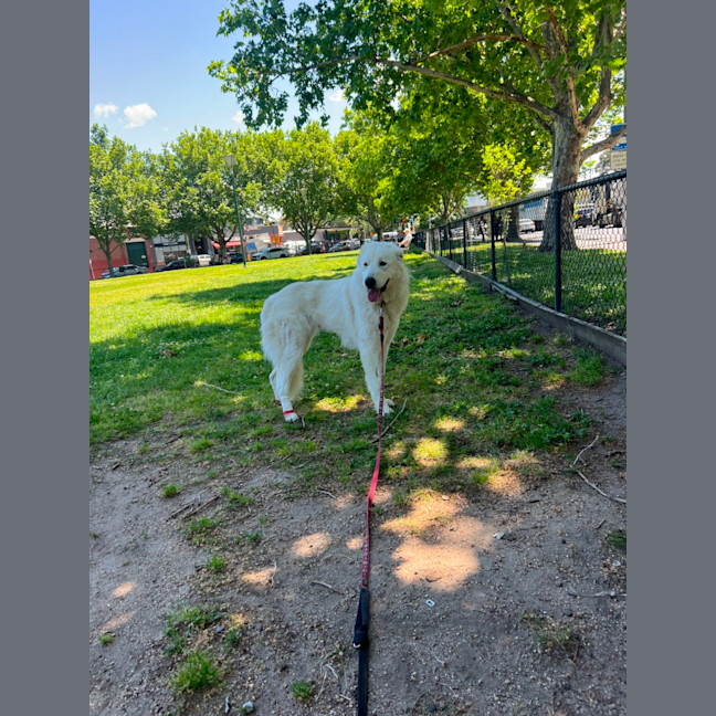 Photo of Lucy