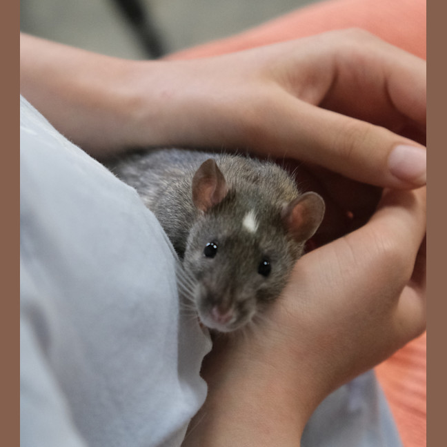 Photo of Neil
