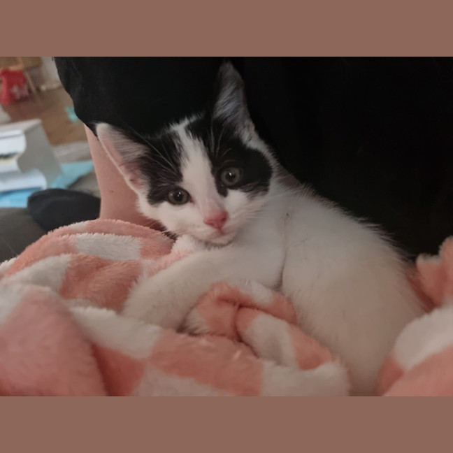 Photo of Eddie & Cherry 