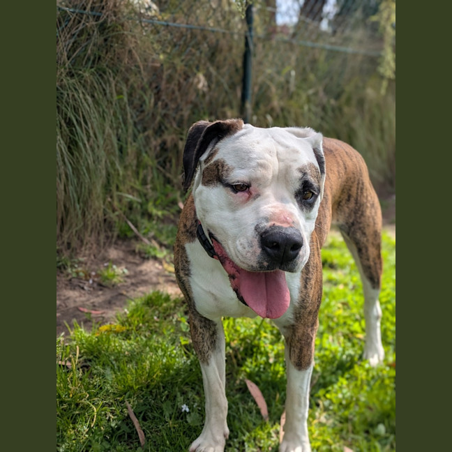 Photo of Jada