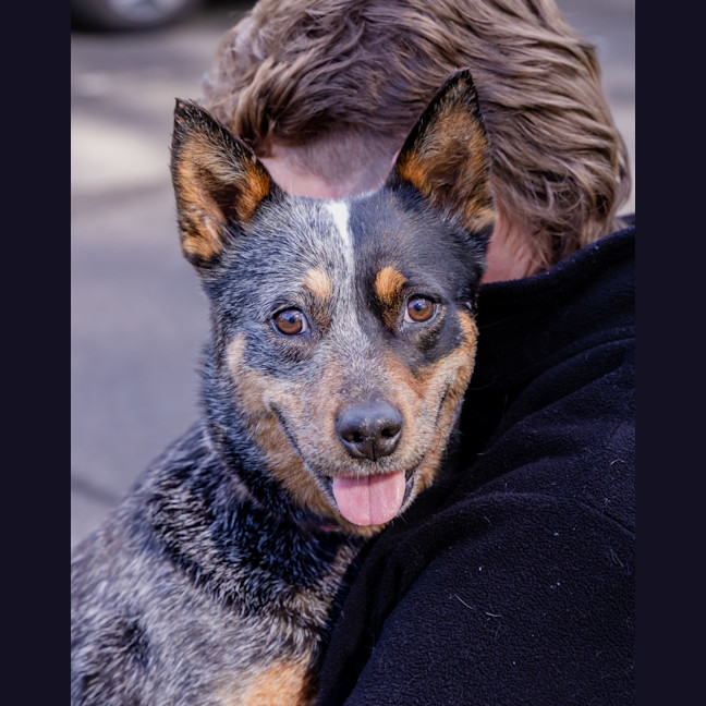 Photo of Kira