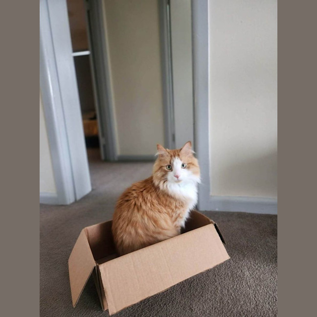 Photo of Baxter