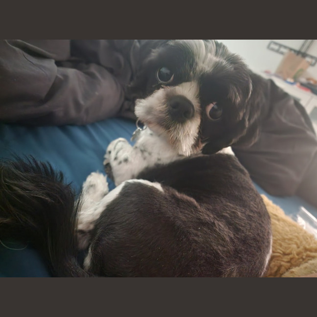 Photo of Shuna