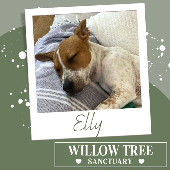 Photo of Elly
