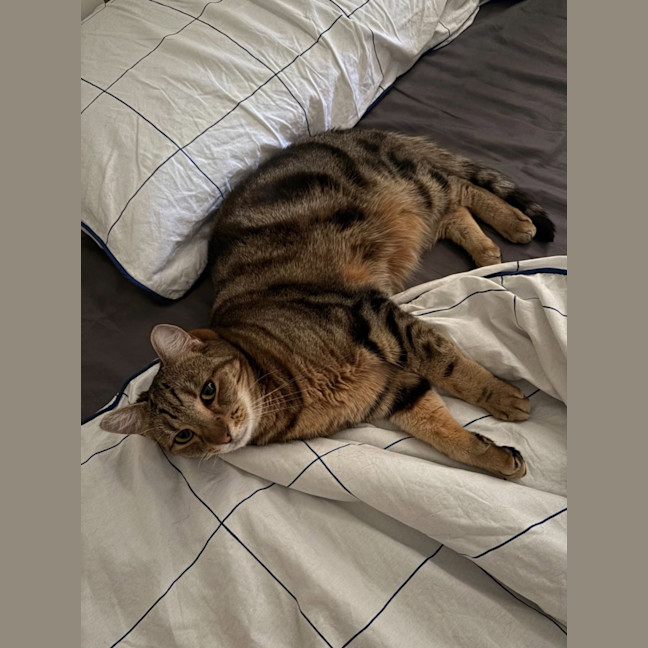 Photo of Coco
