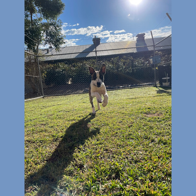 Photo of Missy