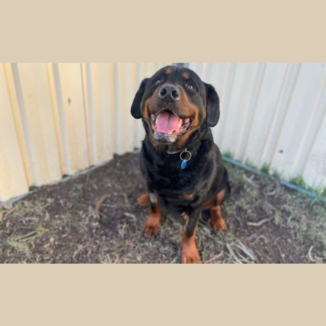 Photo of Wobbly Walter