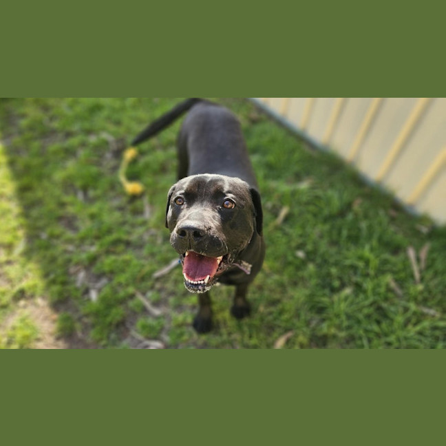 Photo of Betty