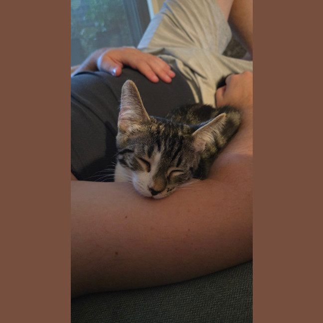 Photo of Willy 🧡