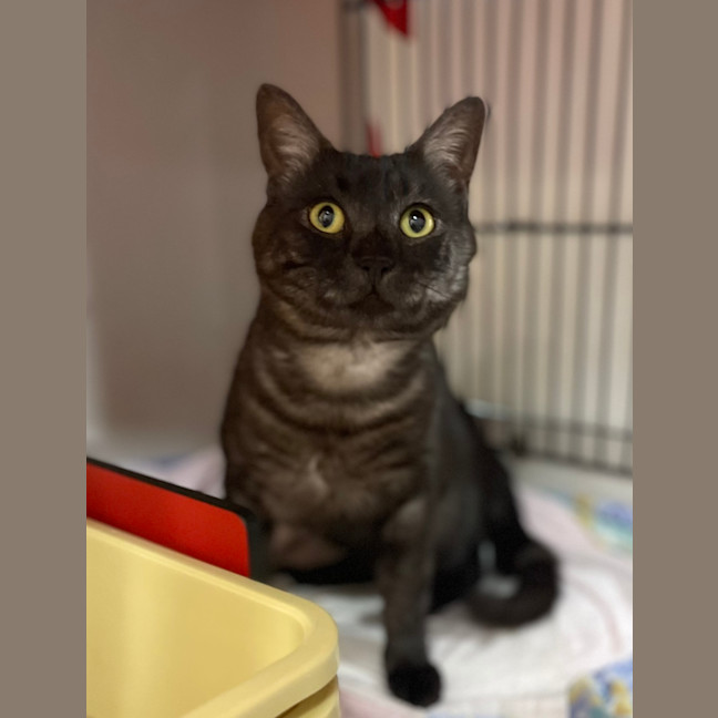 Photo of Mr Biscuits
