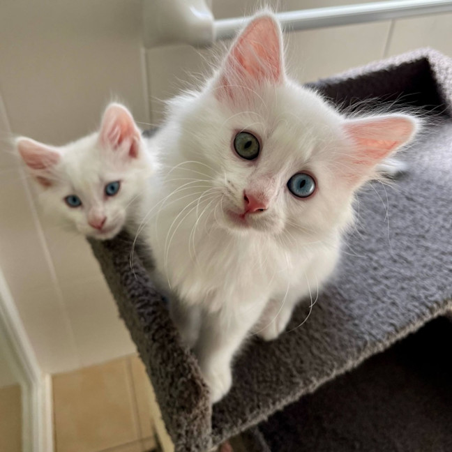 Photo of 🧸 Jesse 🧸