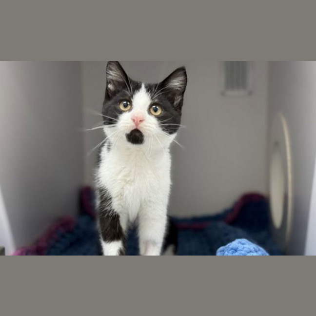 Photo of Pammy