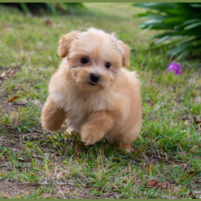 Photo of Matilda