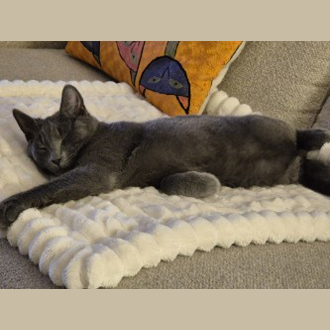 Photo of Blue