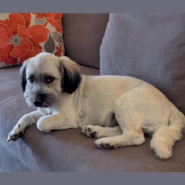 Photo of Maggie