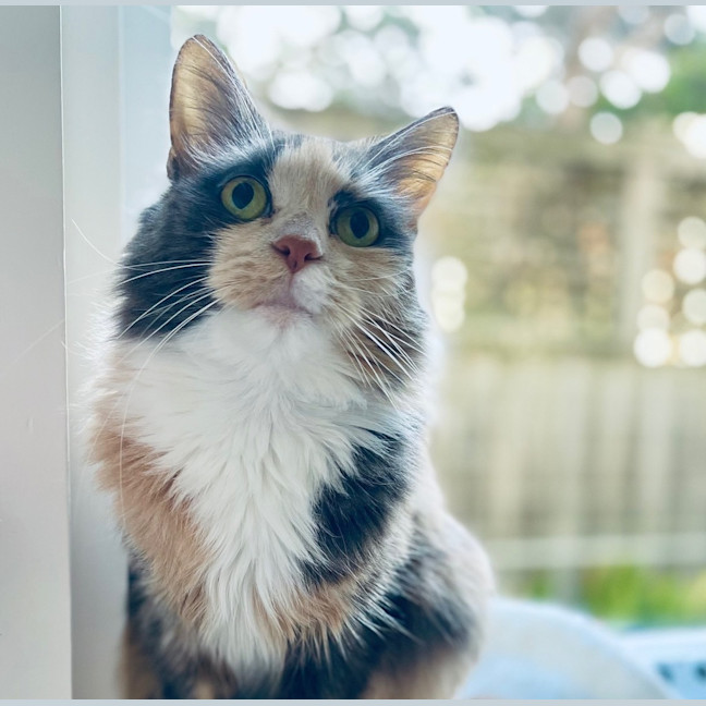 Photo of Mildred