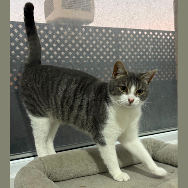 Photo of Sylvie 🌷