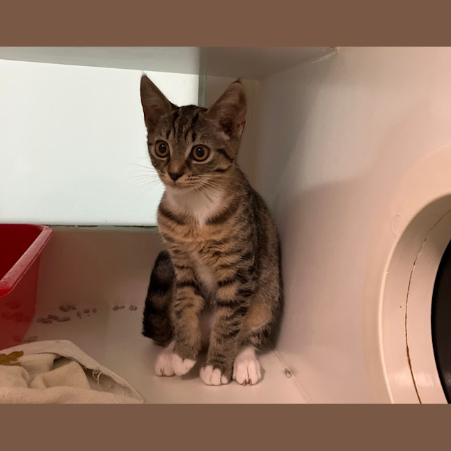 Photo of Lila