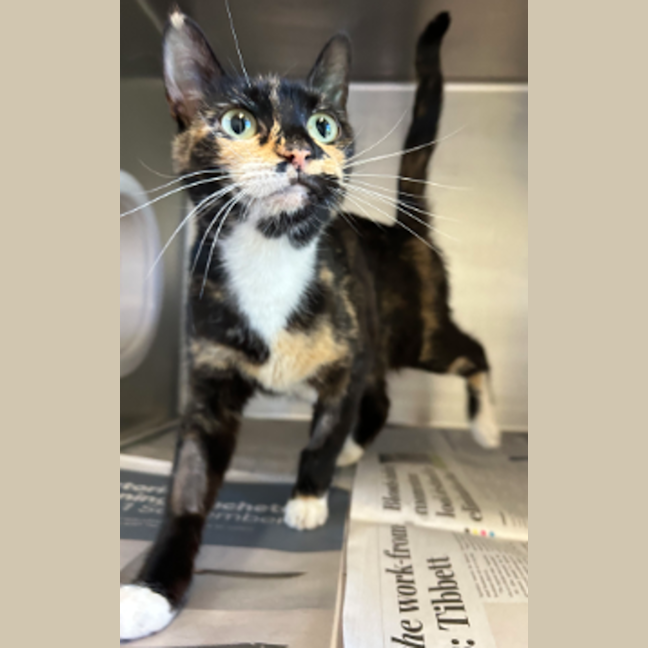 Photo of Mumma Ginge