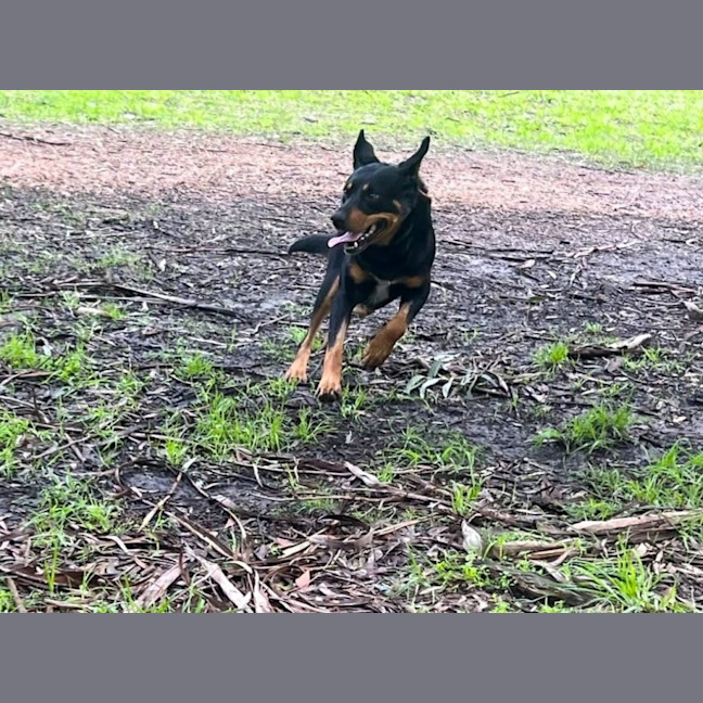 Photo of Winston