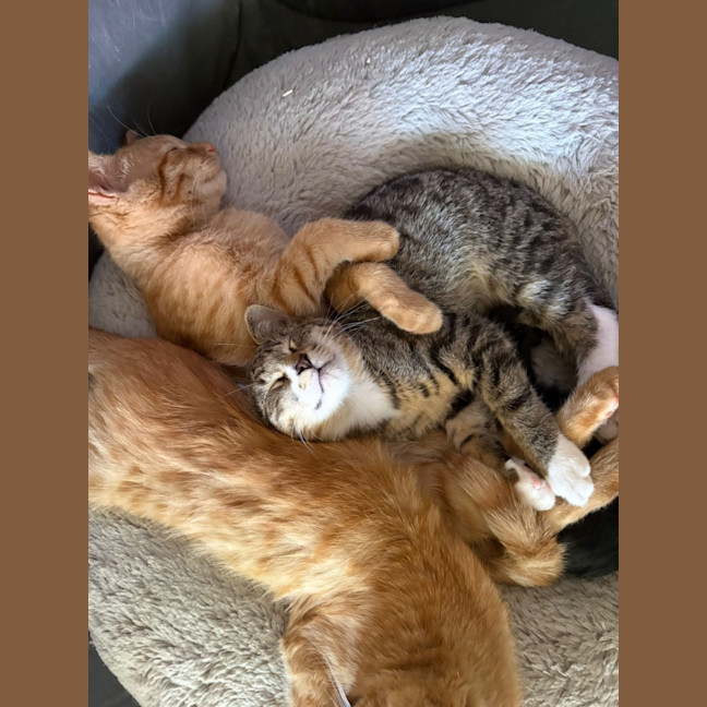 Photo of Billy Button